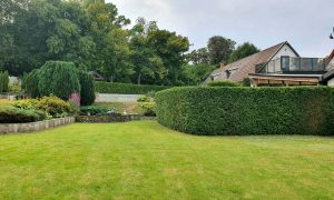 Trädgårdsservice Malmö – Häckklippning – Röjning