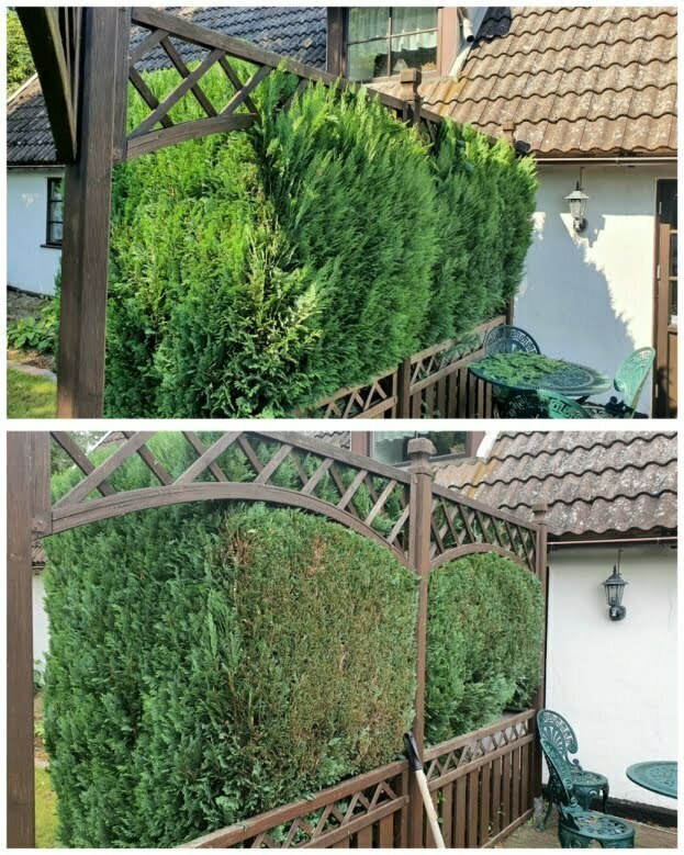 trädgårdsfirma malmö