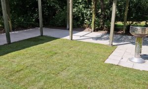 Plattsättning & nytt gräsmatta till BRF i Lomma